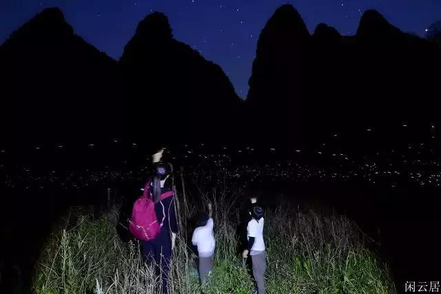 昭通市政协委员:关注特色产业和绿色能源发展