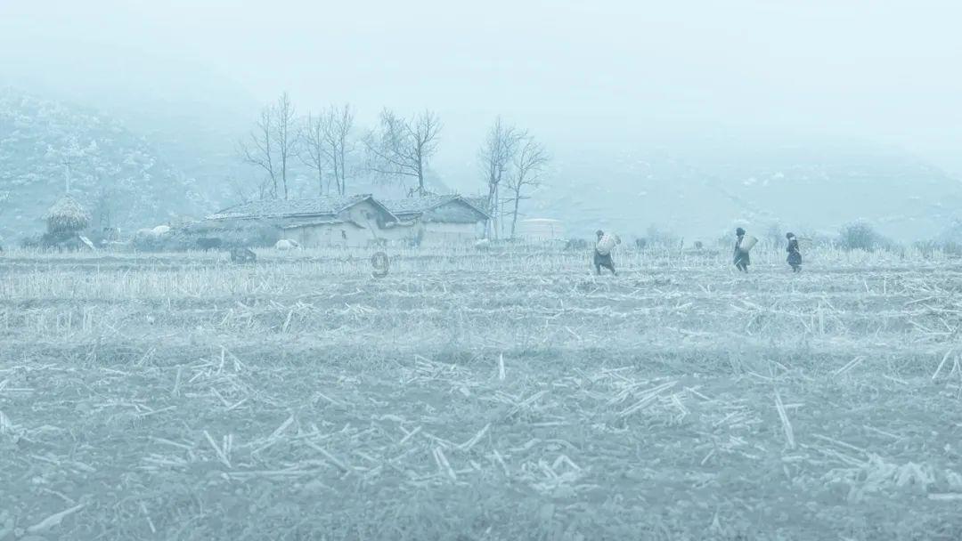 新疆动漫产业协会成立——全疆49家企业凝聚动漫产业高质量发展合力